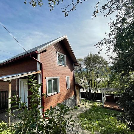 Карпатський Котедж Karpatian Cottage Vorokhta Exterior photo