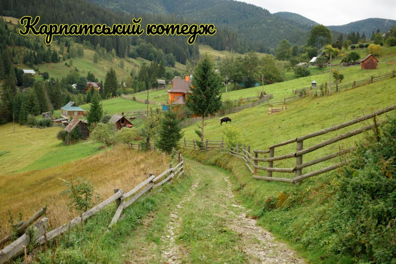 Карпатський Котедж Karpatian Cottage Vorokhta Exterior photo
